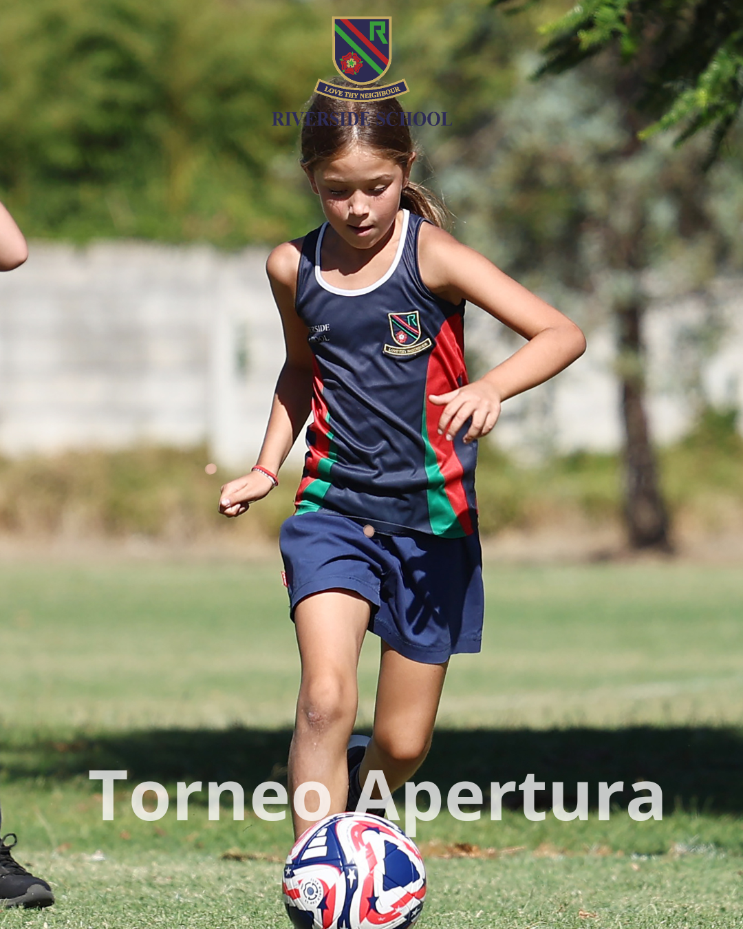 Torneo Apertura