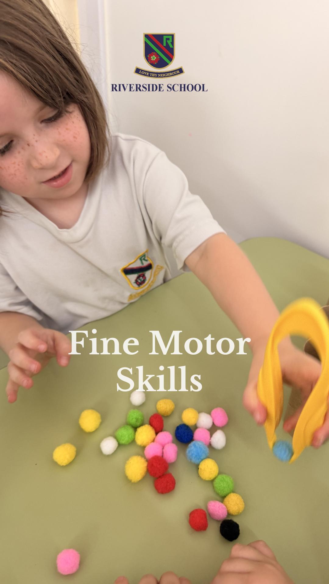 Fine Motor Skills